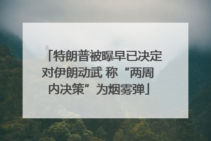 特朗普被曝早已决定对伊朗动武 称“两周内决策”为烟雾弹