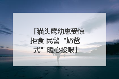 猫头鹰幼崽受惊拒食 民警“奶爸式”暖心投喂