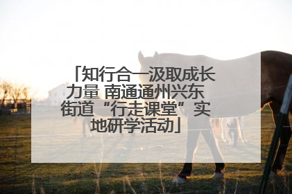 知行合一汲取成长力量 南通通州兴东街道“行走课堂”实地研学活动