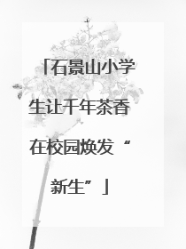 石景山小学生让千年茶香在校园焕发“新生”