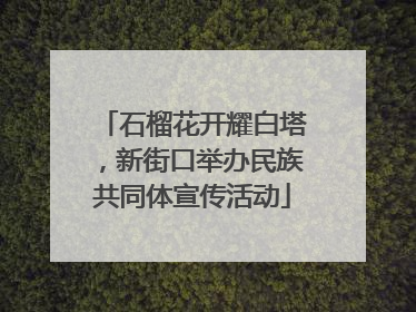石榴花开耀白塔，新街口举办民族共同体宣传活动
