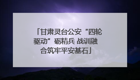 甘肃灵台公安“四轮驱动”砺精兵 战训融合筑牢平安基石