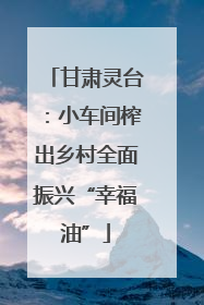 甘肃灵台：小车间榨出乡村全面振兴“幸福油”