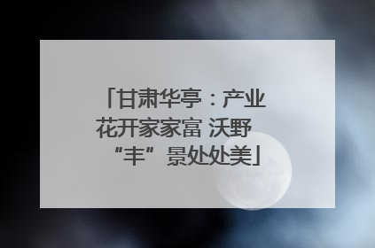 甘肃华亭：产业花开家家富 沃野“丰”景处处美