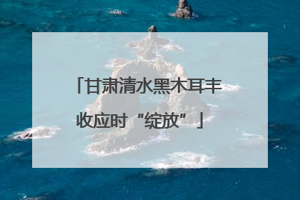 甘肃清水黑木耳丰收应时“绽放”