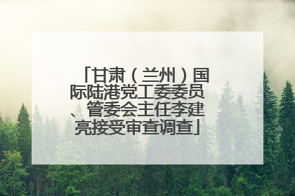 甘肃（兰州）国际陆港党工委委员、管委会主任李建亮接受审查调查
