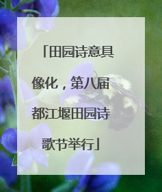 田园诗意具像化，第八届都江堰田园诗歌节举行