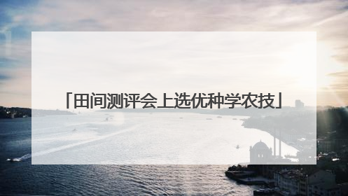 田间测评会上选优种学农技