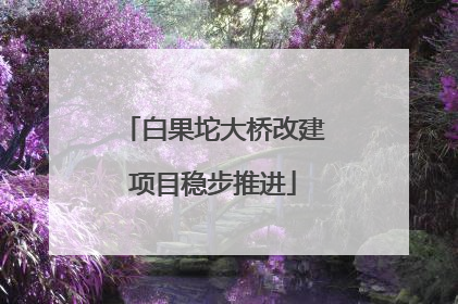白果坨大桥改建项目稳步推进