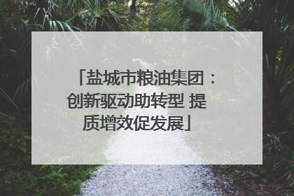 盐城市粮油集团：创新驱动助转型 提质增效促发展