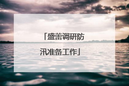 盛蕾调研防汛准备工作