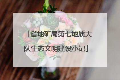 省地矿局第七地质大队生态文明建设小记