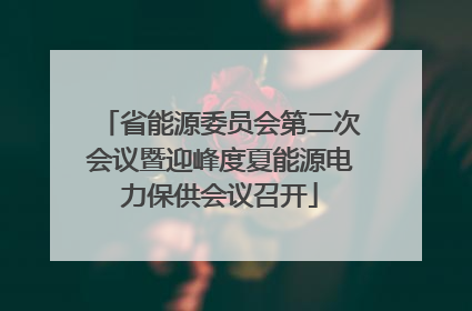 省能源委员会第二次会议暨迎峰度夏能源电力保供会议召开
