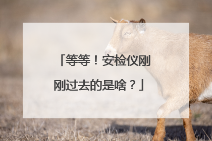 等等！安检仪刚刚过去的是啥？