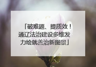 破难题、提质效！通辽法治建设多维发力绘就善治新图景
