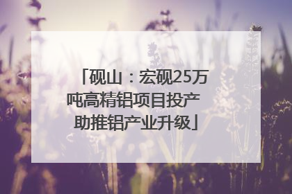 砚山：宏砚25万吨高精铝项目投产 助推铝产业升级