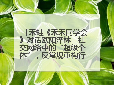 禾蛙《禾禾同学会》对话欧阳泽林：社交网络中的“超级个体”，反常规重构行业生态！