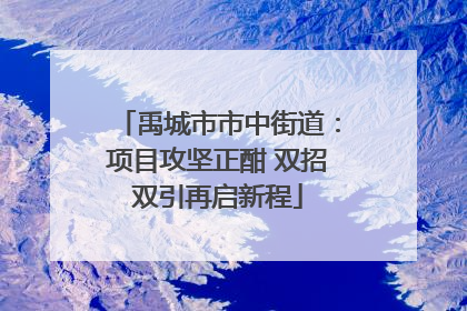 禹城市市中街道：项目攻坚正酣 双招双引再启新程