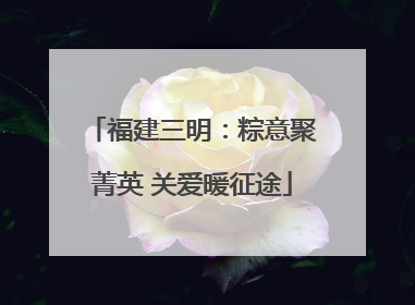福建三明：粽意聚菁英 关爱暖征途