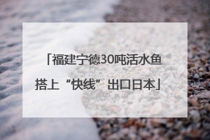 福建宁德30吨活水鱼搭上“快线”出口日本