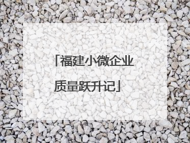 福建小微企业质量跃升记