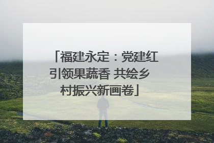 福建永定：党建红引领果蔬香 共绘乡村振兴新画卷