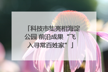 科技市集亮相海淀公园 前沿成果“飞入寻常百姓家”