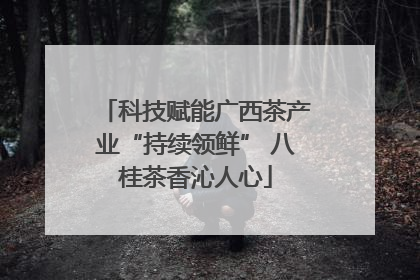科技赋能广西茶产业“持续领鲜” 八桂茶香沁人心