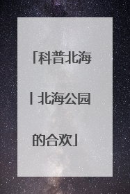 科普北海丨北海公园的合欢