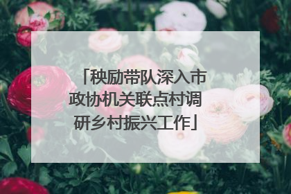 秧励带队深入市政协机关联点村调研乡村振兴工作