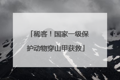 稀客！国家一级保护动物穿山甲获救