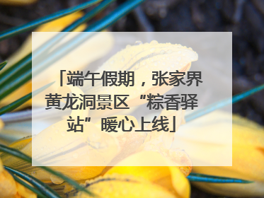 端午假期，张家界黄龙洞景区“粽香驿站”暖心上线
