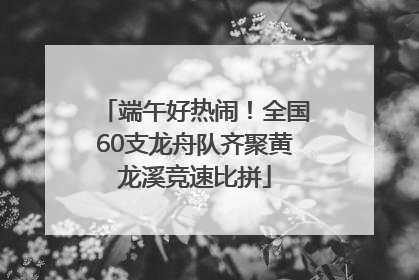 端午好热闹！全国60支龙舟队齐聚黄龙溪竞速比拼