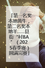 第一名奖本地黄牛，第二名奖本地羊……县街“村BA”（2025春季赛）圆满完赛