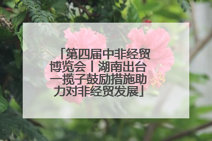 第四届中非经贸博览会丨湖南出台一揽子鼓励措施助力对非经贸发展