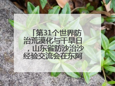 第31个世界防治荒漠化与干旱日，山东省防沙治沙经验交流会在东阿县举办