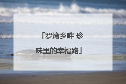 罗湾乡畔 珍味里的幸福路