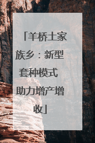 羊桥土家族乡：新型套种模式 助力增产增收