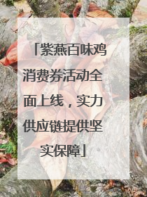 紫燕百味鸡消费券活动全面上线，实力供应链提供坚实保障