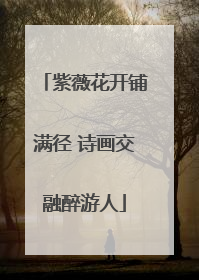 紫薇花开铺满径 诗画交融醉游人
