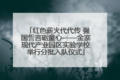 红色薪火代代传 强国誓言砺童心——金寨现代产业园区实验学校举行分批入队仪式