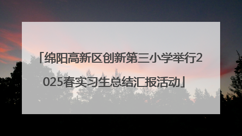 绵阳高新区创新第三小学举行2025春实习生总结汇报活动