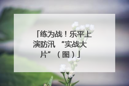 练为战！乐平上演防汛 “实战大片”（图）