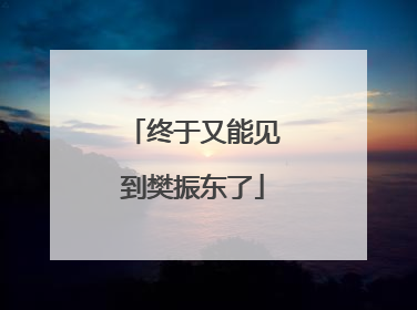 终于又能见到樊振东了