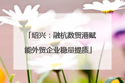 绍兴：融杭数贸港赋能外贸企业稳量提质