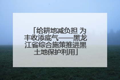 给耕地减负担 为丰收添底气——黑龙江省综合施策推进黑土地保护利用