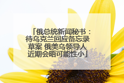 俄总统新闻秘书：待乌克兰回应备忘录草案 俄美乌领导人近期会晤可能性小