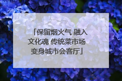 保留烟火气 融入文化魂 传统菜市场变身城市会客厅