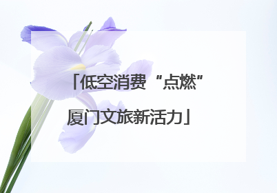 低空消费“点燃”厦门文旅新活力