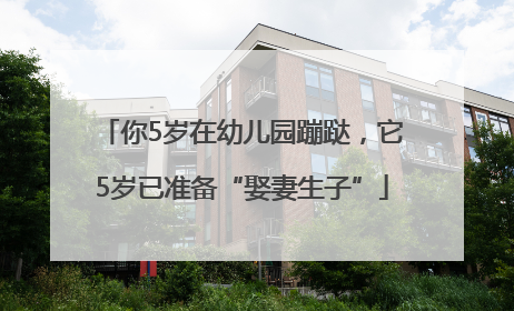 你5岁在幼儿园蹦跶，它5岁已准备“娶妻生子”
